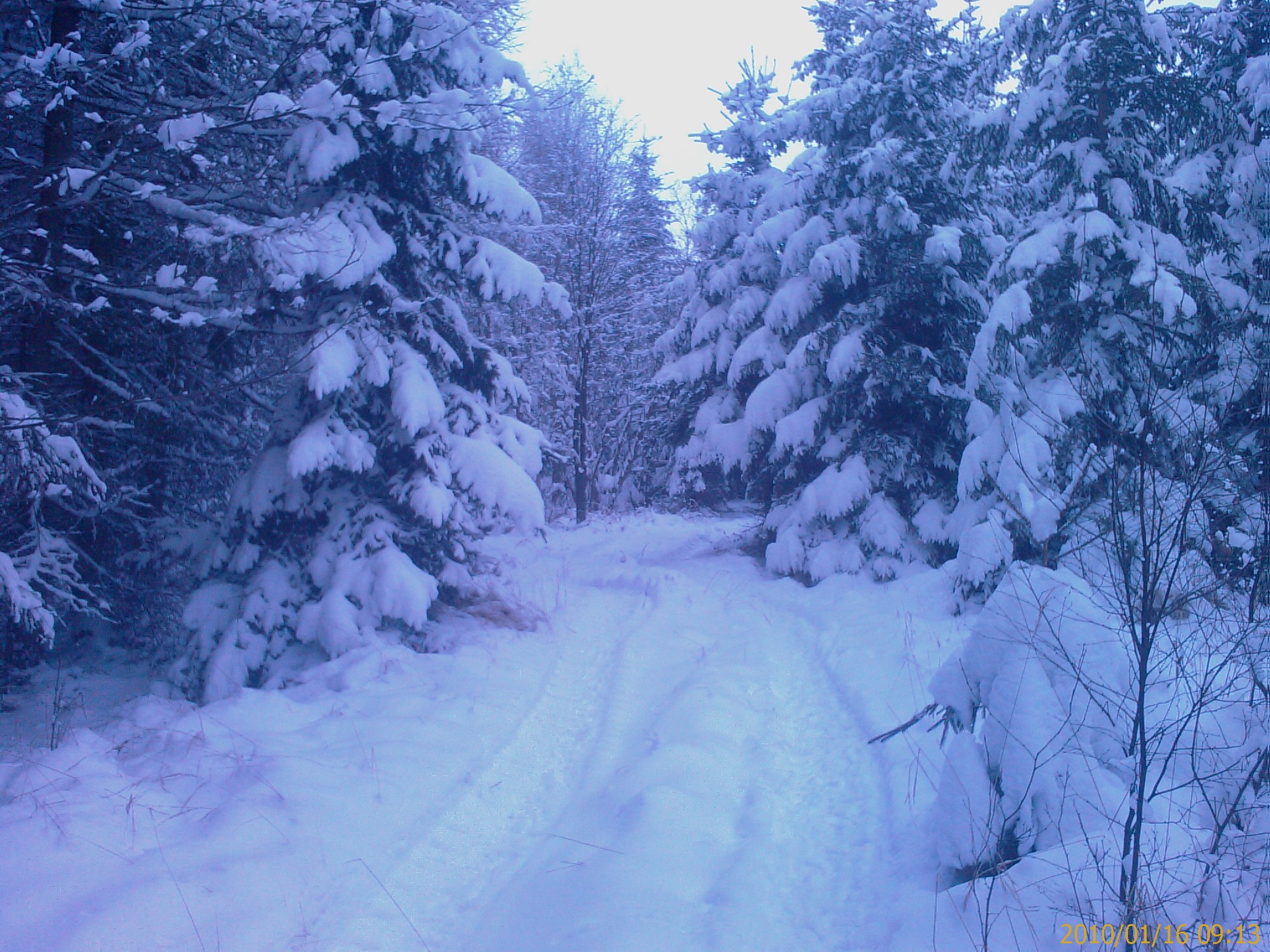 IMAG0524.jpg