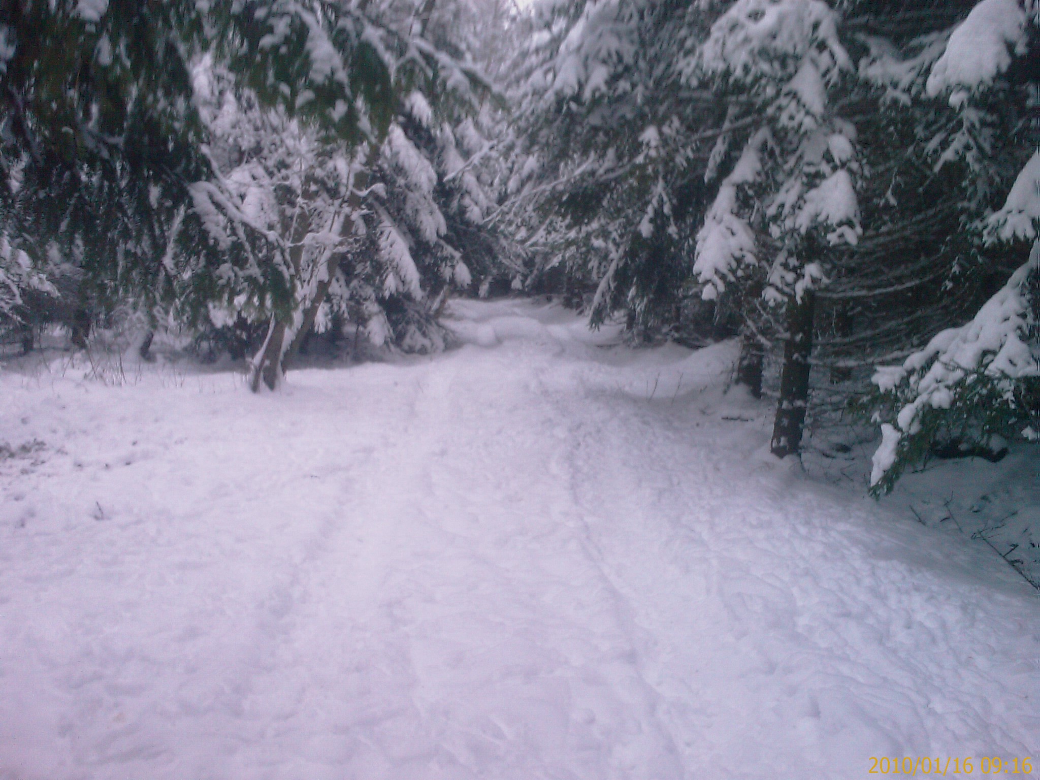 IMAG0528.jpg