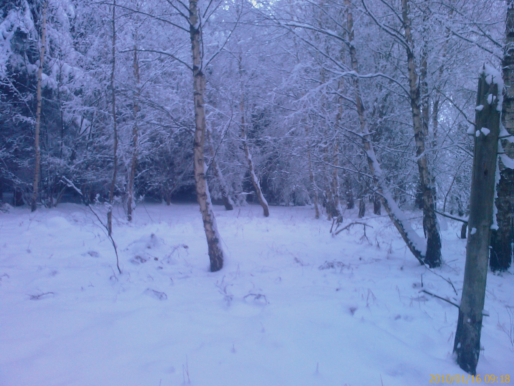 IMAG0529.jpg
