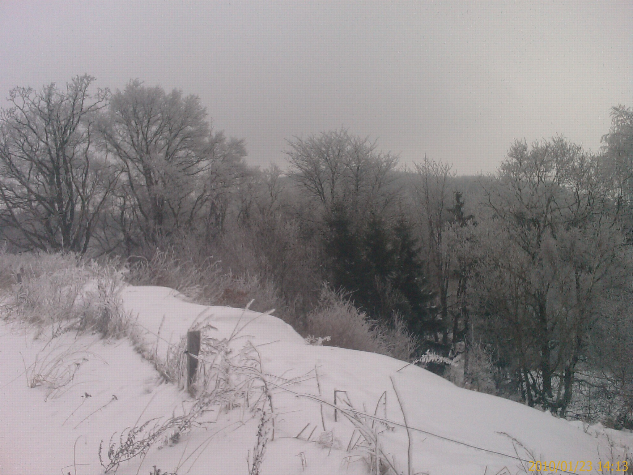 IMAG0538.jpg