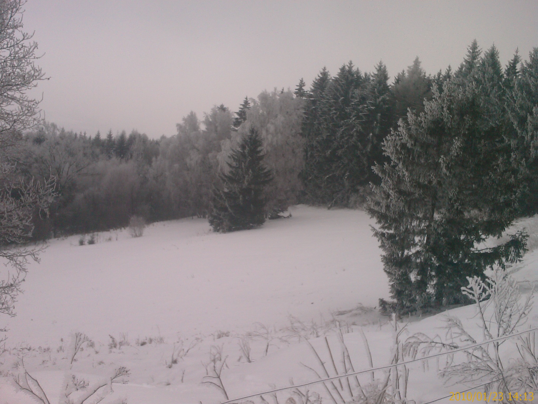IMAG0539.jpg