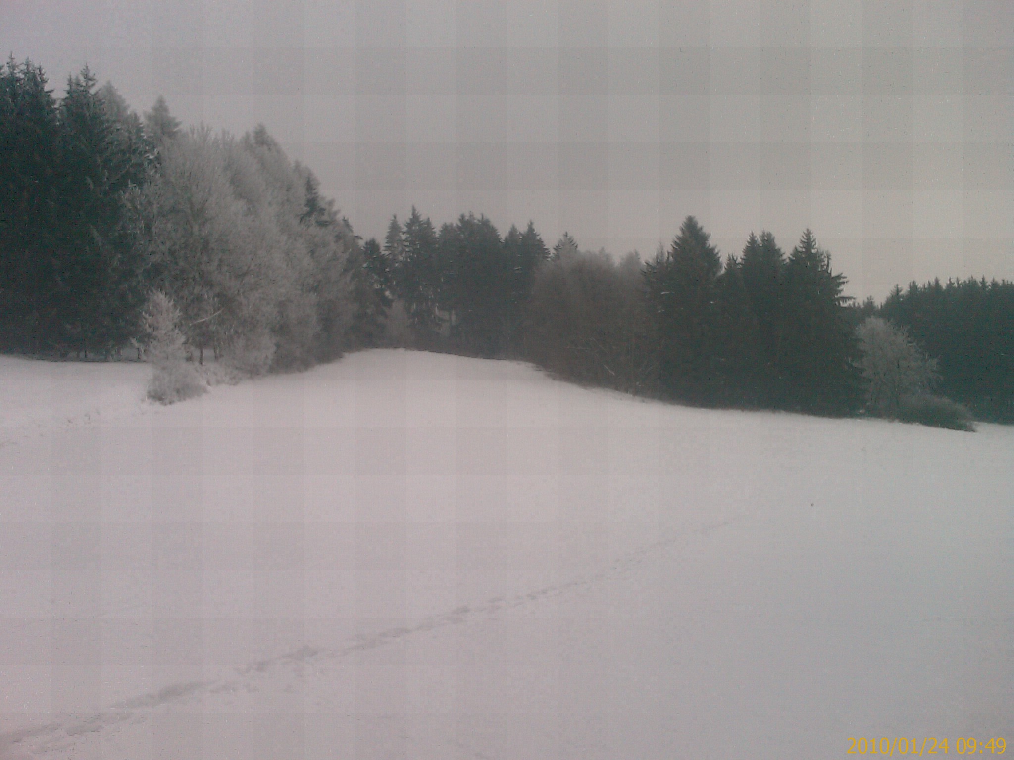 IMAG0545.jpg