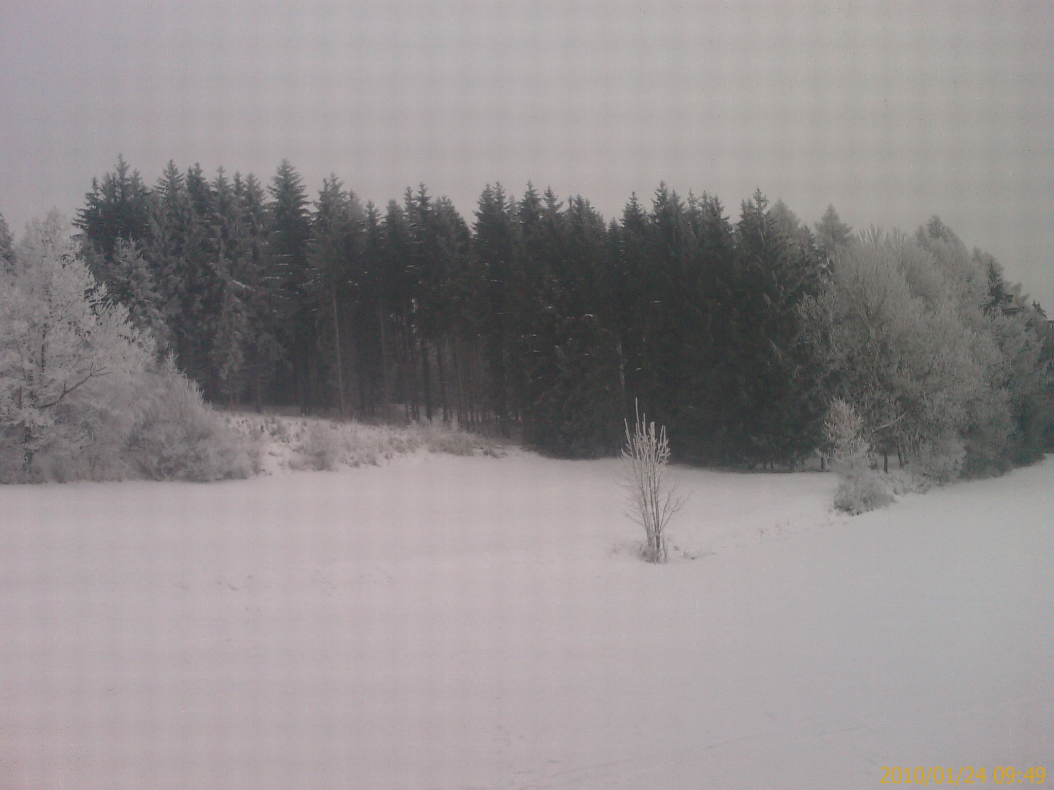 IMAG0546.jpg