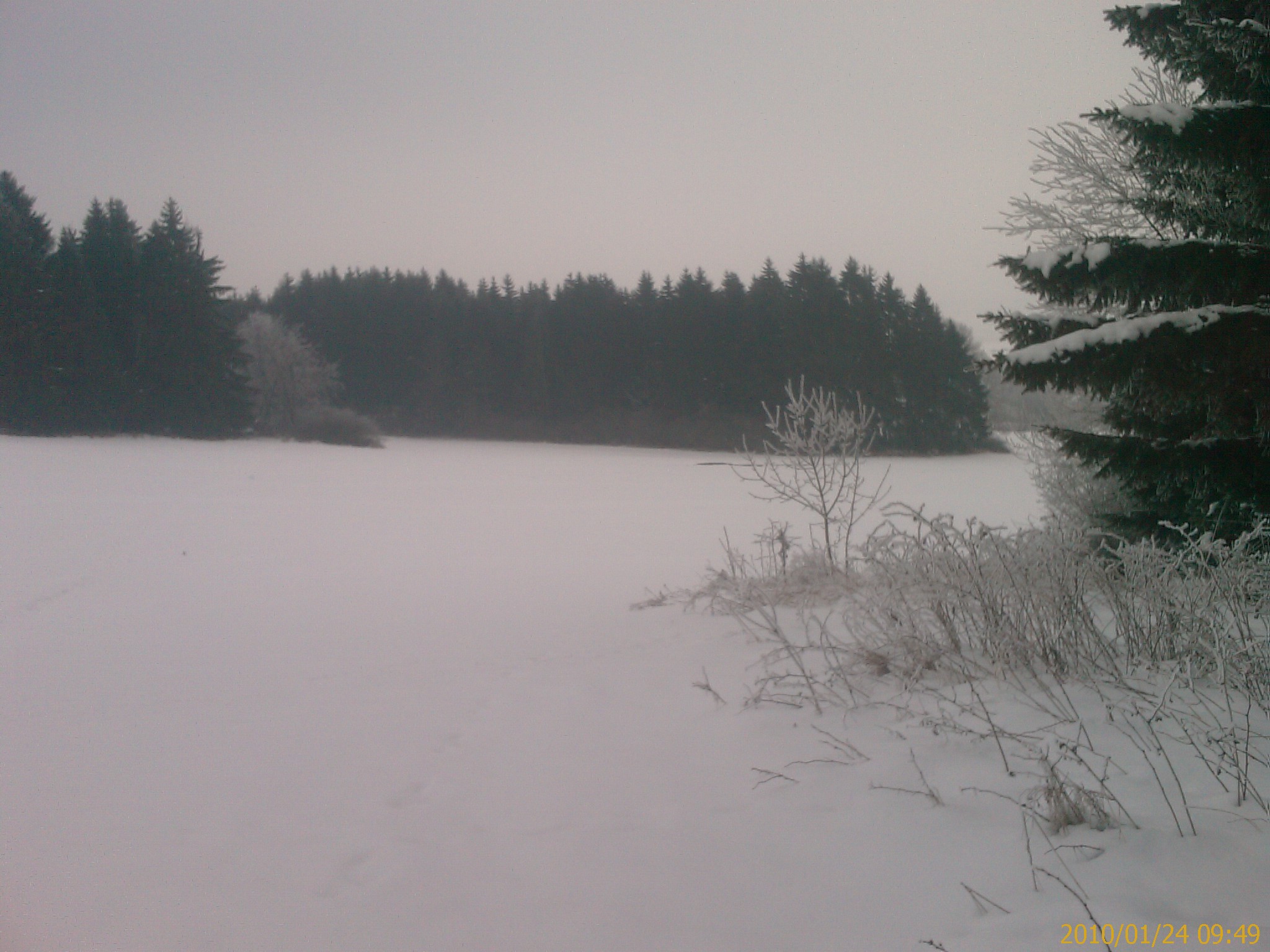 IMAG0547.jpg