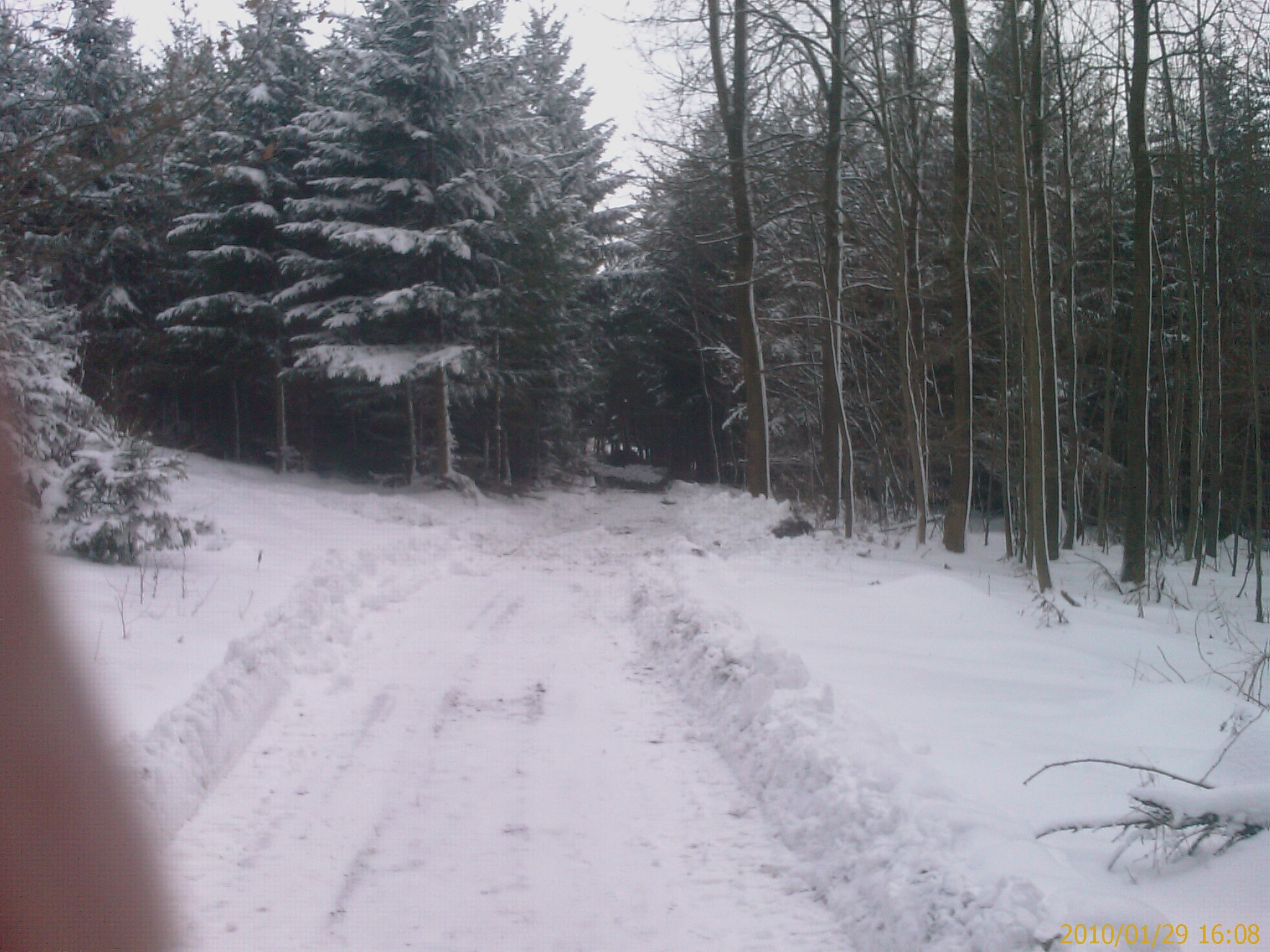 IMAG0589.jpg