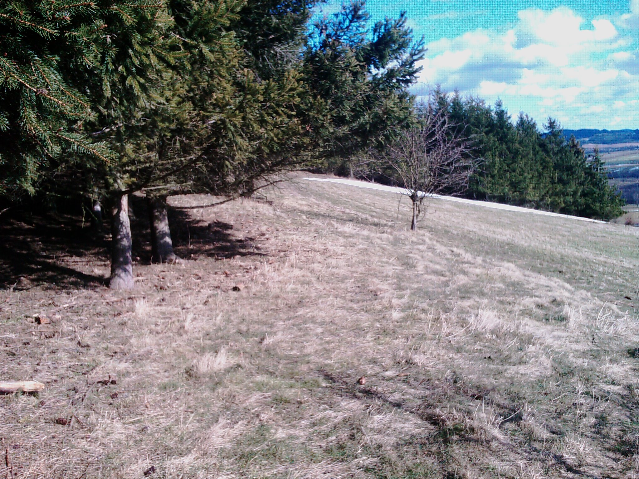 IMAG0638.jpg