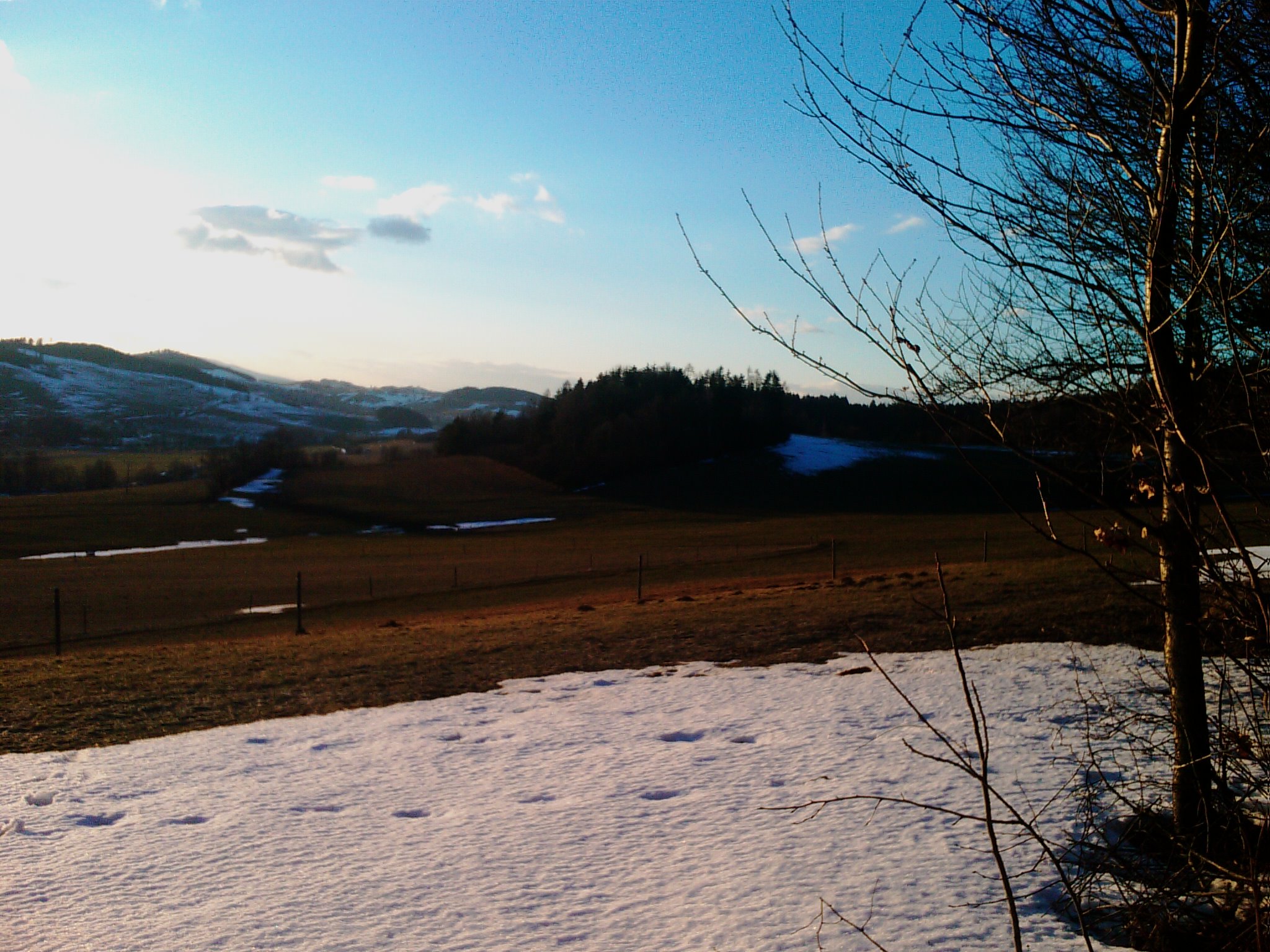 IMAG0644.jpg