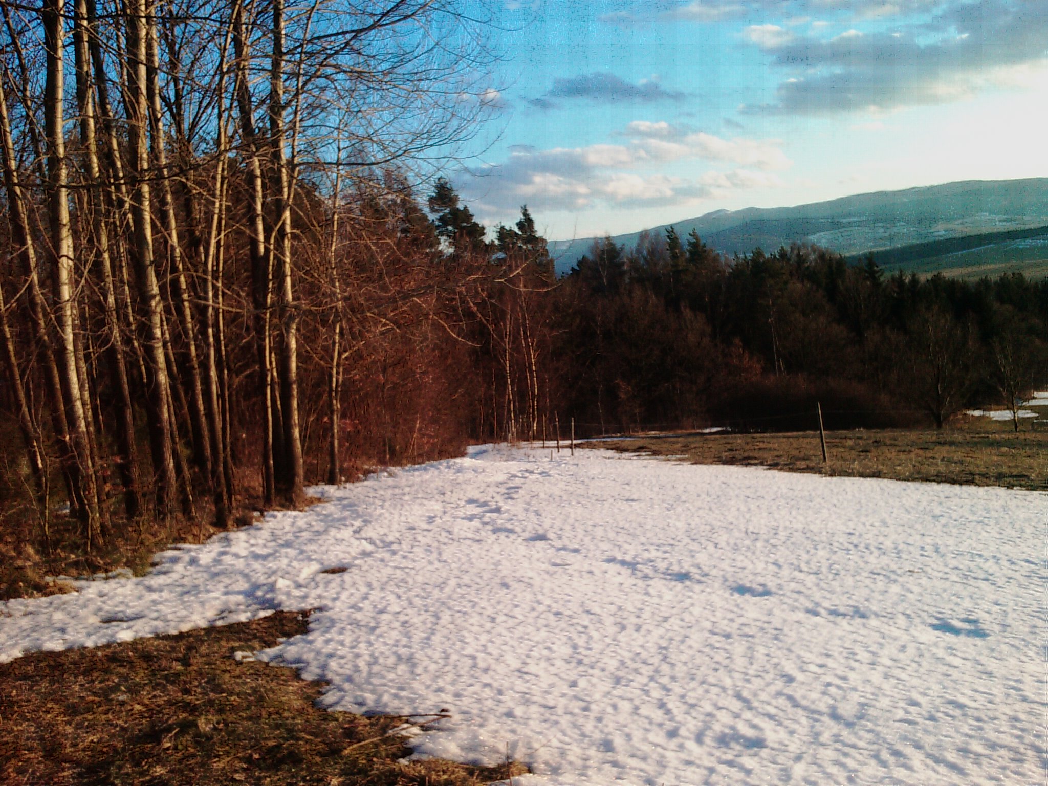 IMAG0646.jpg