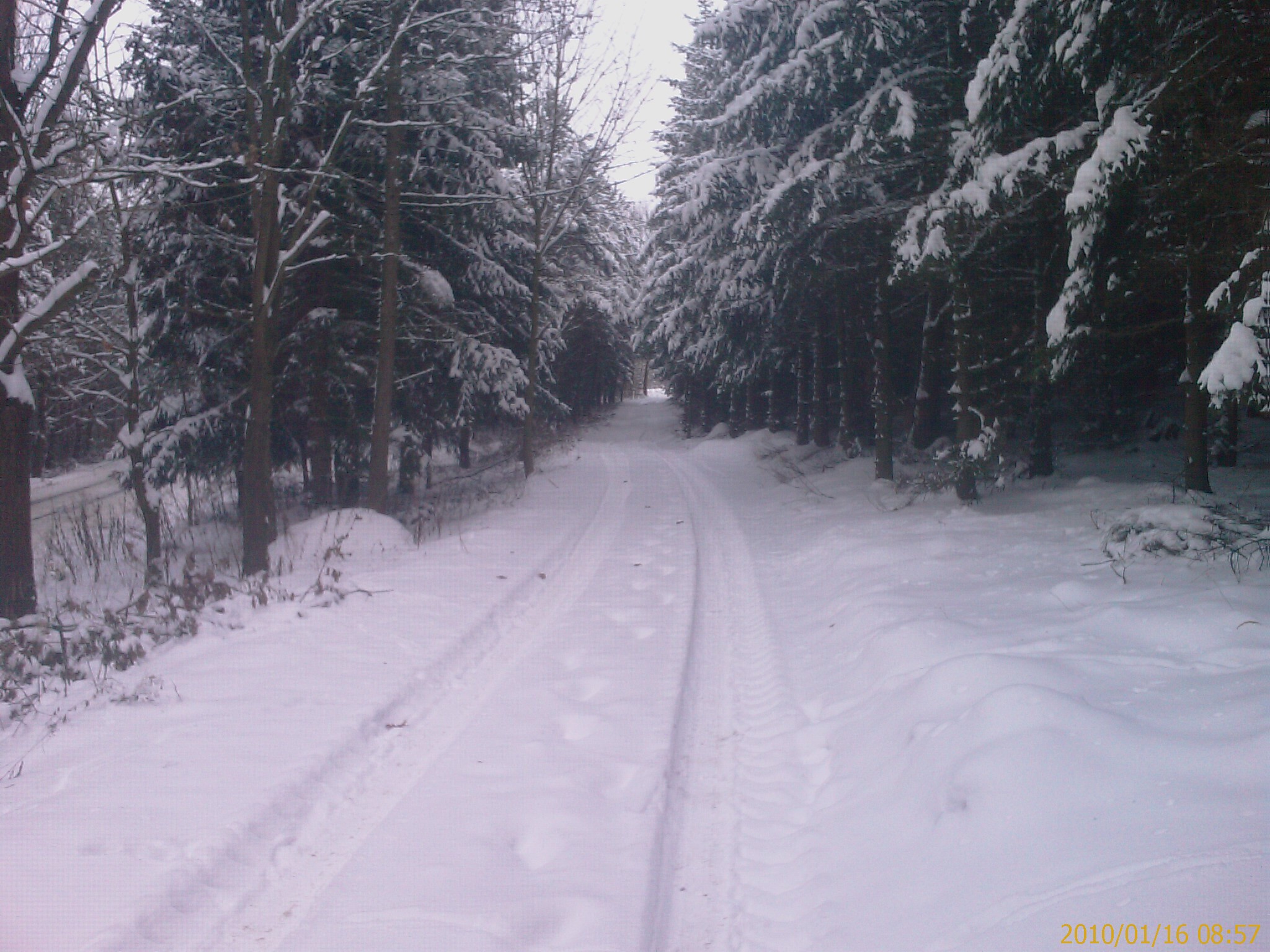 IMAG0522.jpg