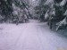 IMAG0528.jpg