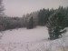 IMAG0539.jpg