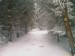 IMAG0549.jpg