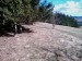 IMAG0638.jpg